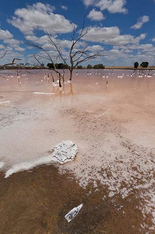 091 Quairading, pink lake.jpg